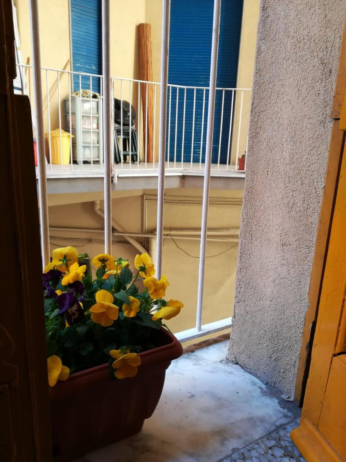 The Yellow House 卡塔尼亚 外观 照片